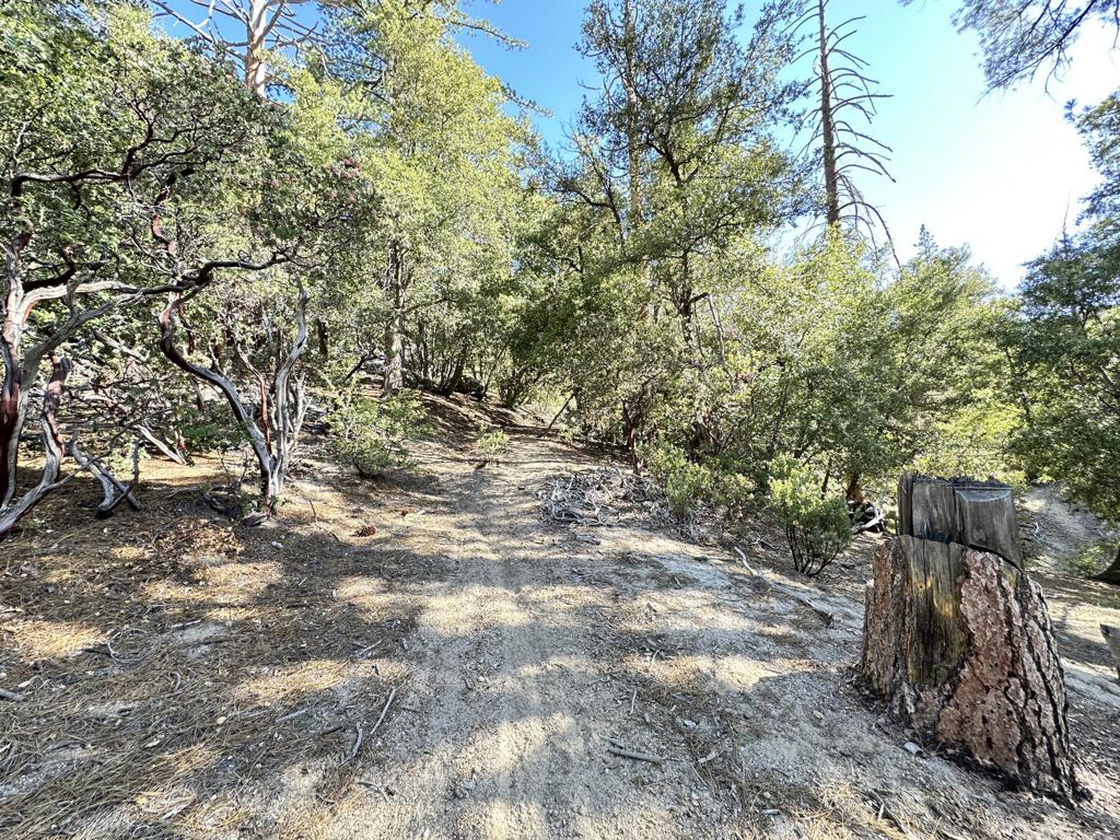 Not Applicable-1 - Land