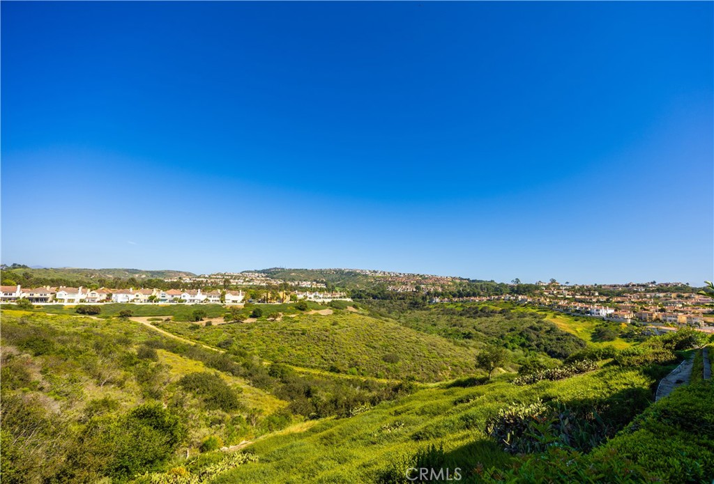 4 Chandon, Newport Coast CA 92657 - Photo 55
