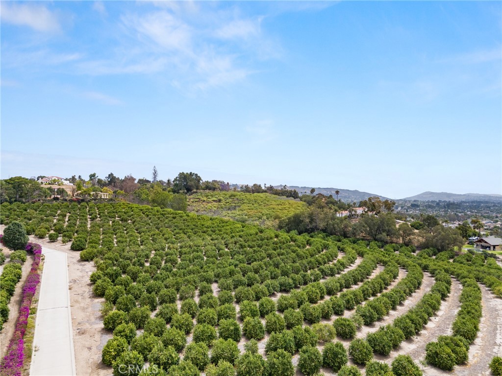 Las Pasos Estates - Land