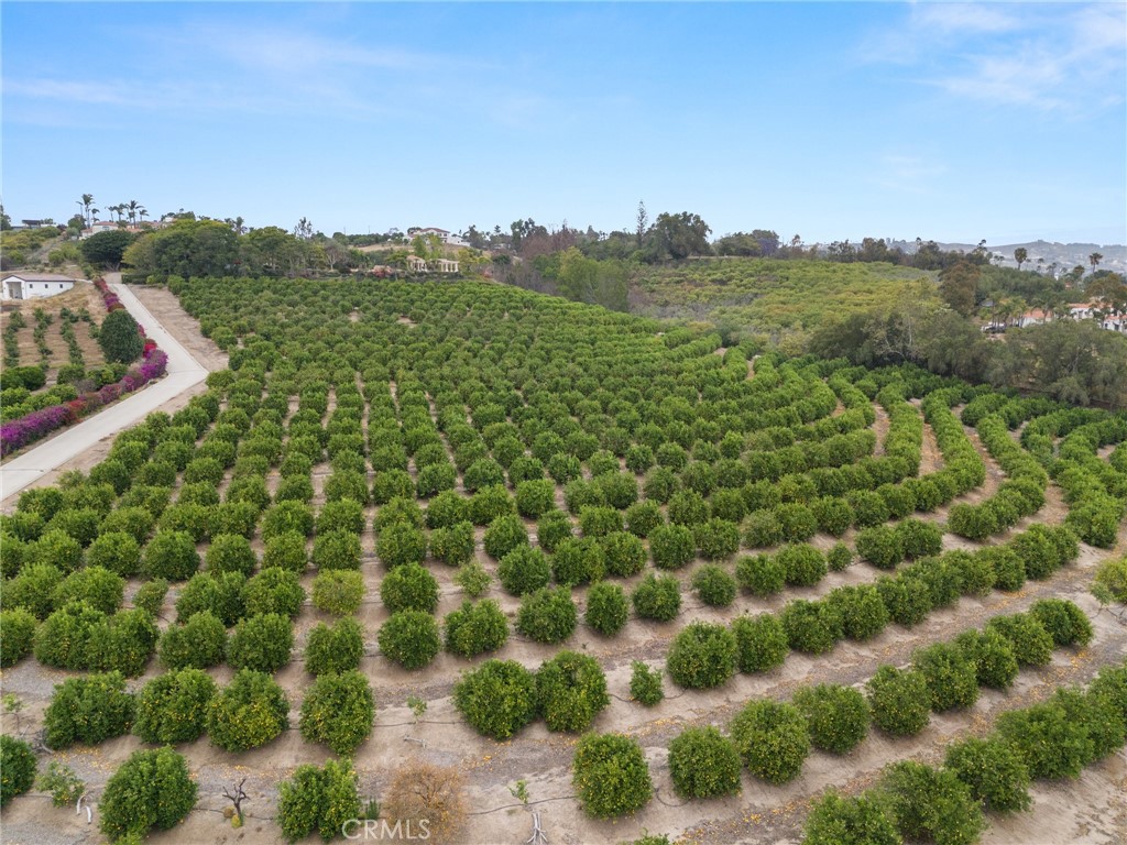 Las Pasos Estates - Land