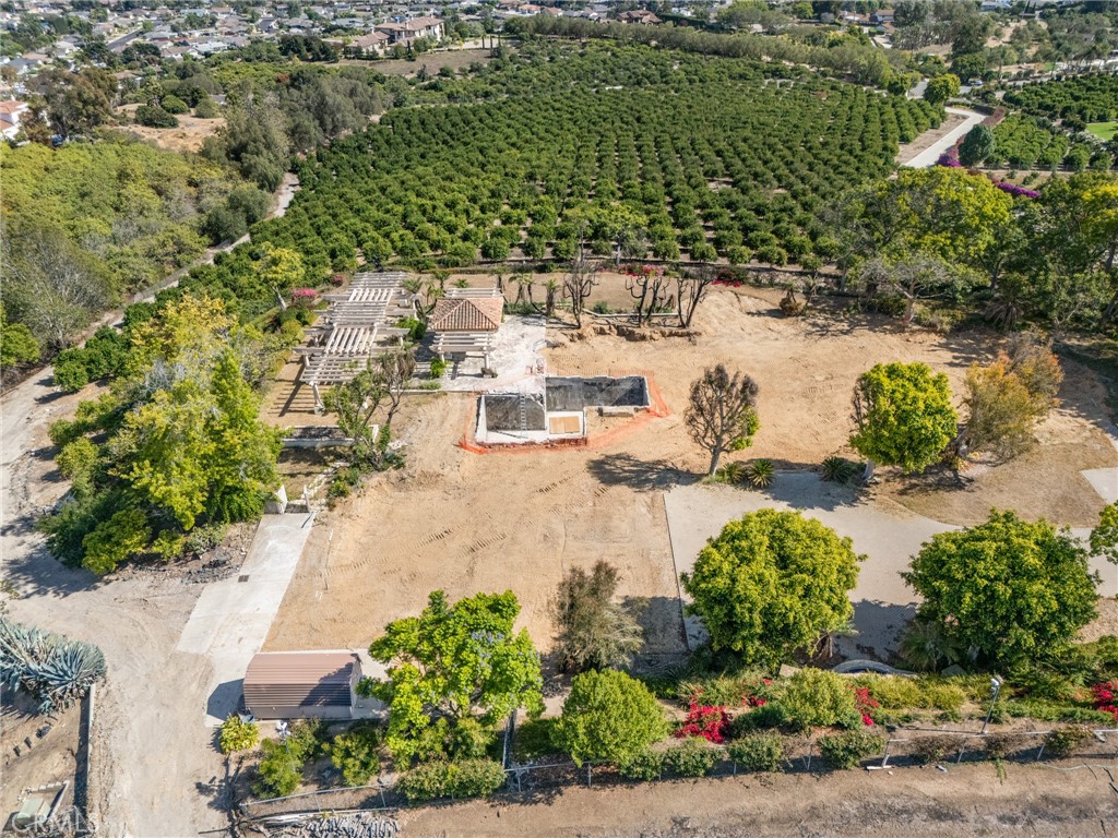 25 Encino Avenue