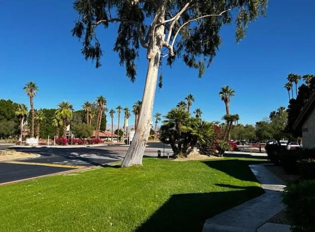 Indian Palms - Residential Lease