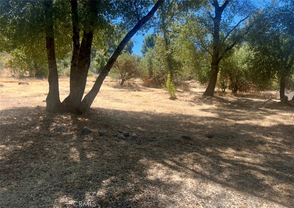 3616 Manzanita Road