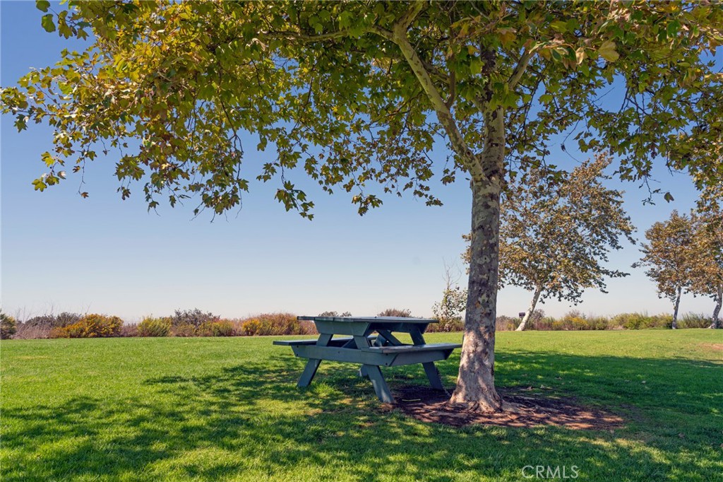 Mesa Bluffs (MBLF) - Residential Lease