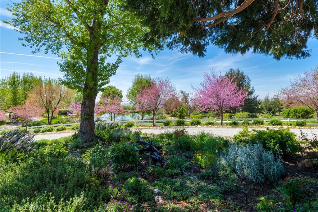 Yucaipa, California, 92399, United States, 3 Bedrooms Bedrooms, ,3 BathroomsBathrooms,Residential,Active,2038158