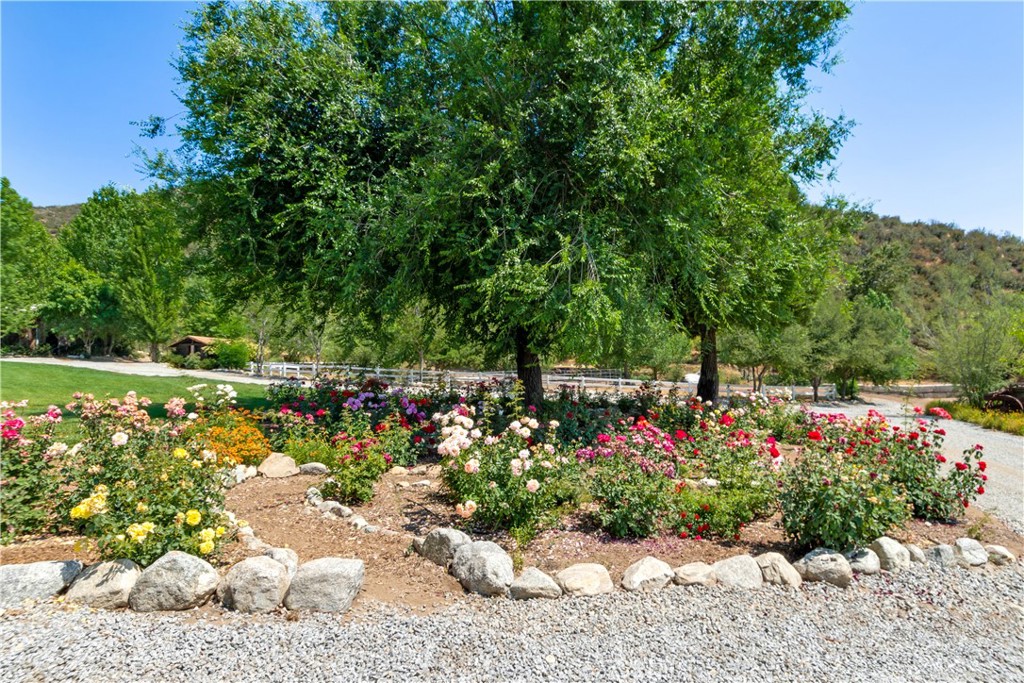 Yucaipa, California, 92399, United States, 3 Bedrooms Bedrooms, ,3 BathroomsBathrooms,Residential,Active,2038158