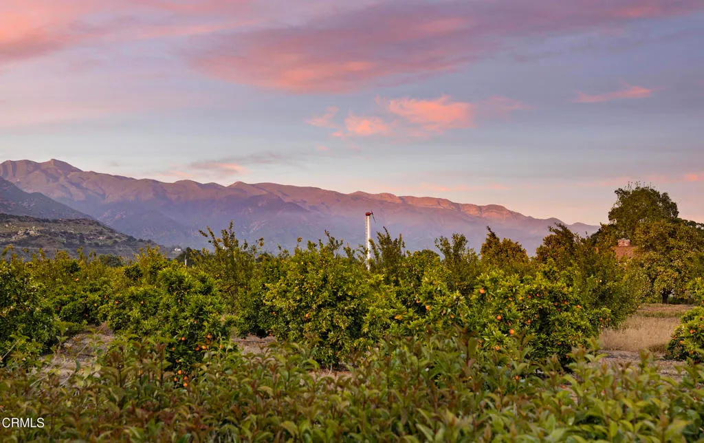 Ojai, California 93023, United States, 3 Bedrooms Bedrooms, ,2 BathroomsBathrooms,Residential,Active,117038