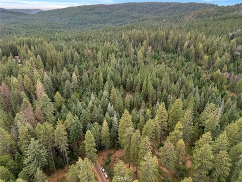 1 Old Forbestown Road Forbestown CA 95941