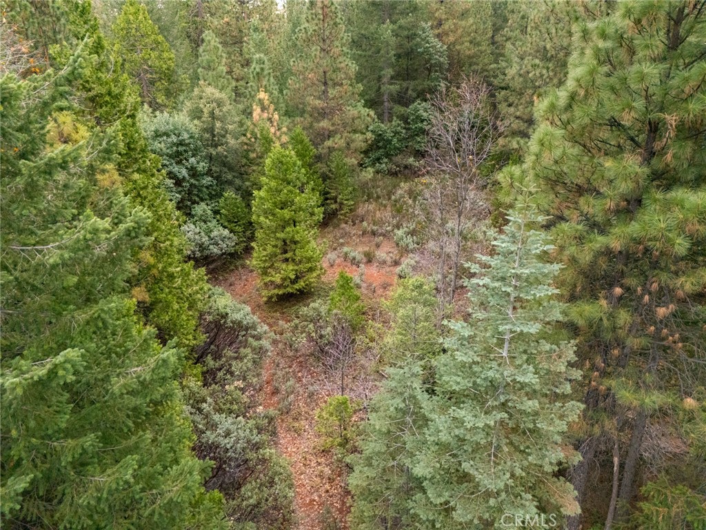 1 Old Forbestown Road