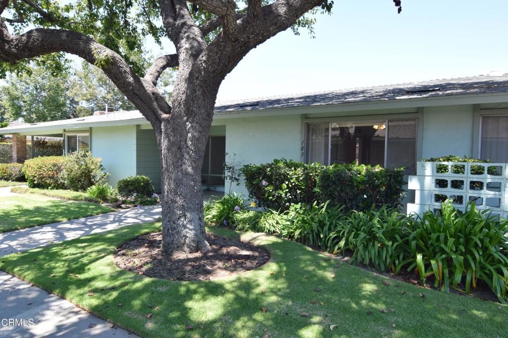 183 W Elfin Green