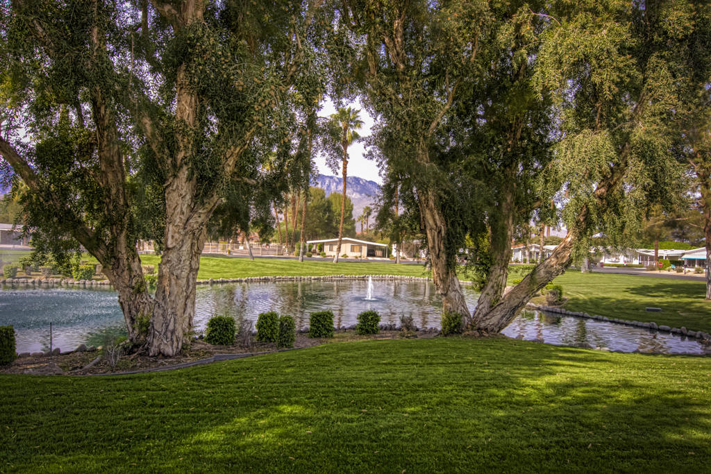 The Canyon - Manufactured In Park