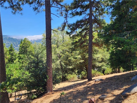 Photo of 315 Weisshorn Drive, Crestline, CA 92325 (MLS # IG26145494)