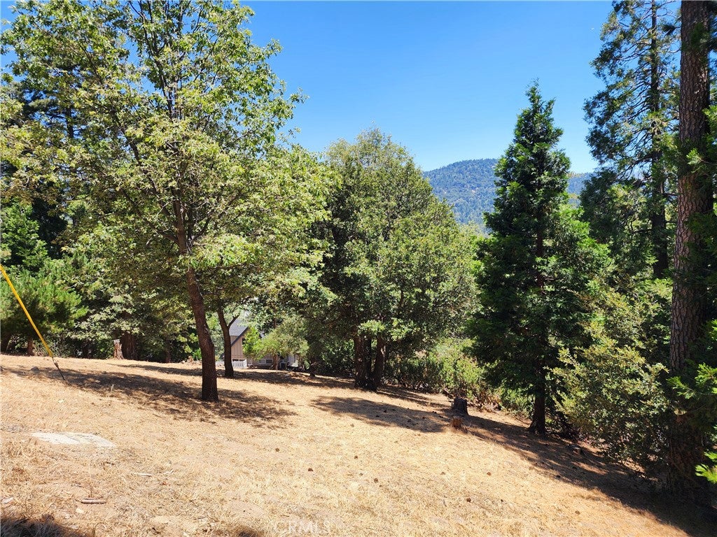 315 Weisshorn Drive