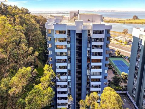 Photo of 555 Pierce St St #520, Albany, CA 94706 (MLS # 41131094)