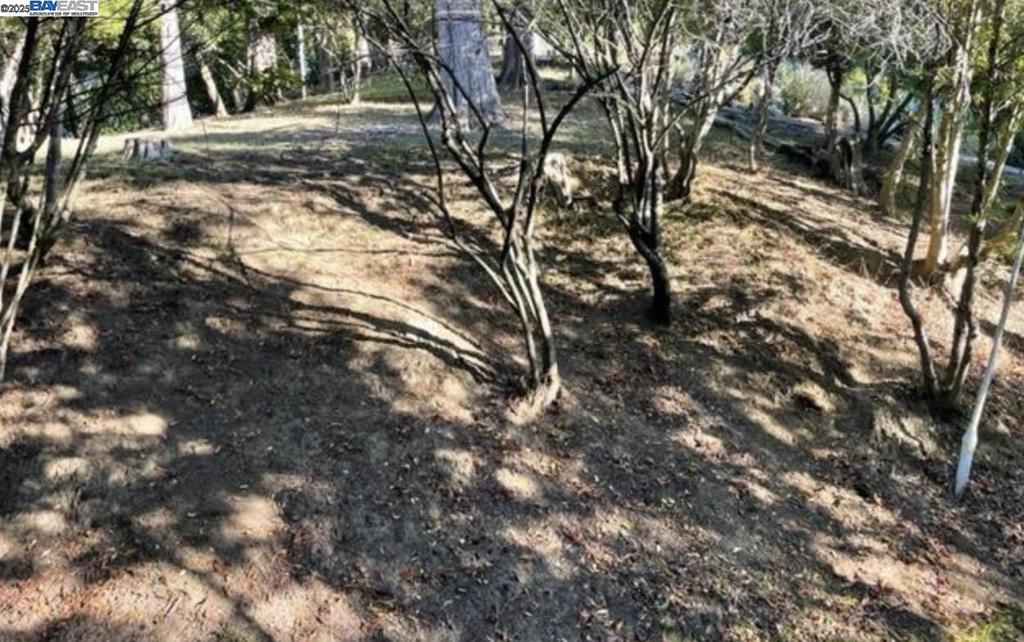 Welcome to 6690 Gunn Dr. in Oakland, CA! This vacant lot offers an unbeatable location, nestled in the heart of Montclair district of Oakland. The perfect balance between urban convenience and peaceful serenity. Enjoy the best of urban living with easy access to downtown Oakland's thriving scene, renowned restaurants, trendy cafes, shopping centers, and entertainment venues. Plus, with convenient access to major highways, you can effortlessly explore the wonders of the entire Bay Area. Don't miss out on this incredible opportunity!