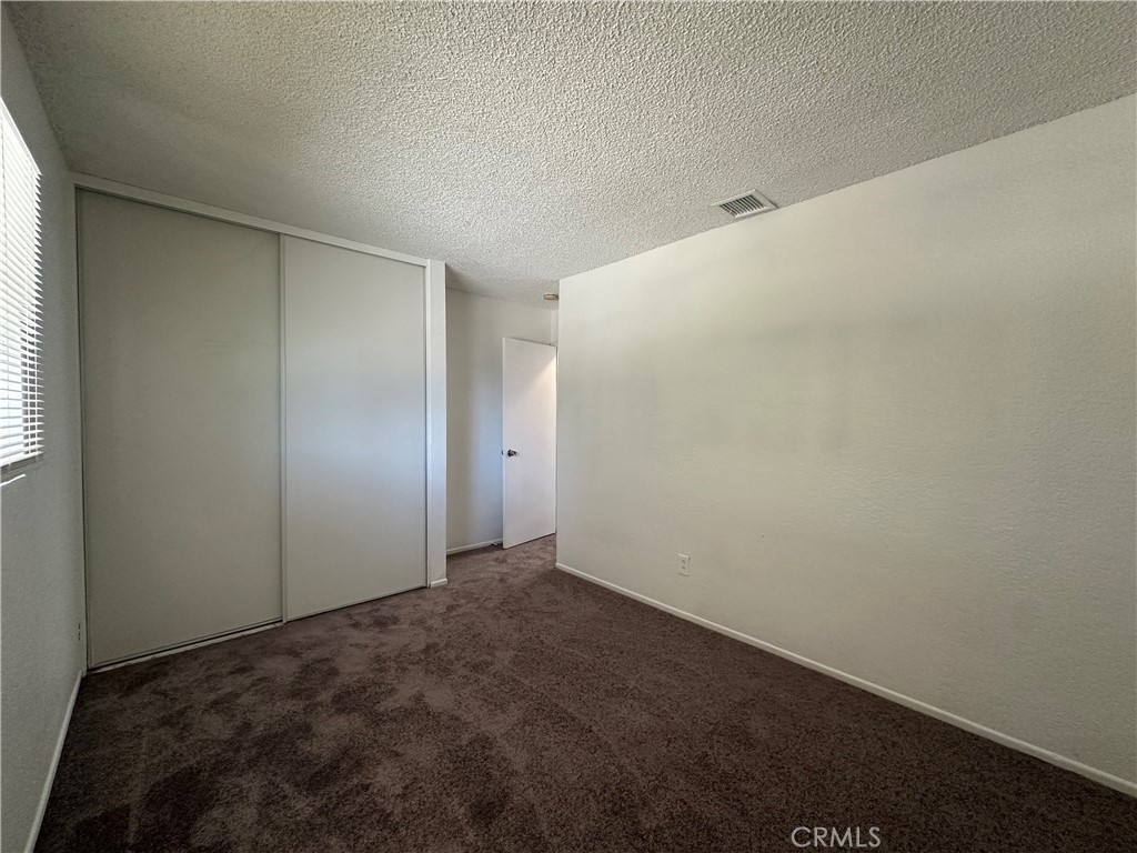 14310 Agave