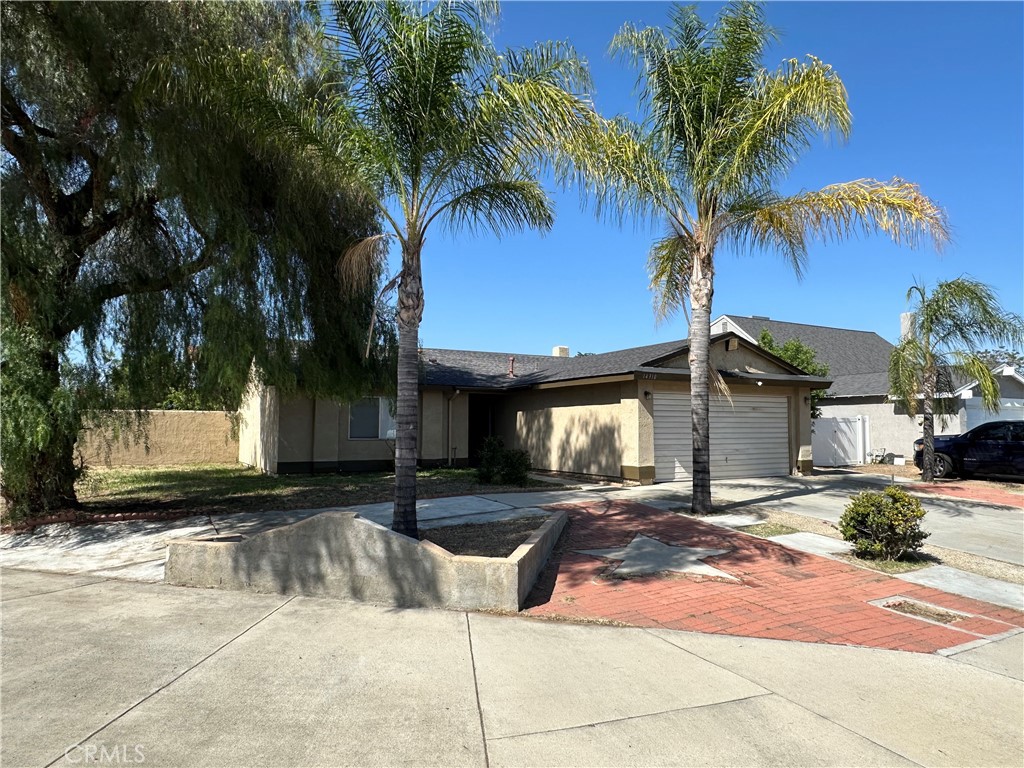 14310 Agave