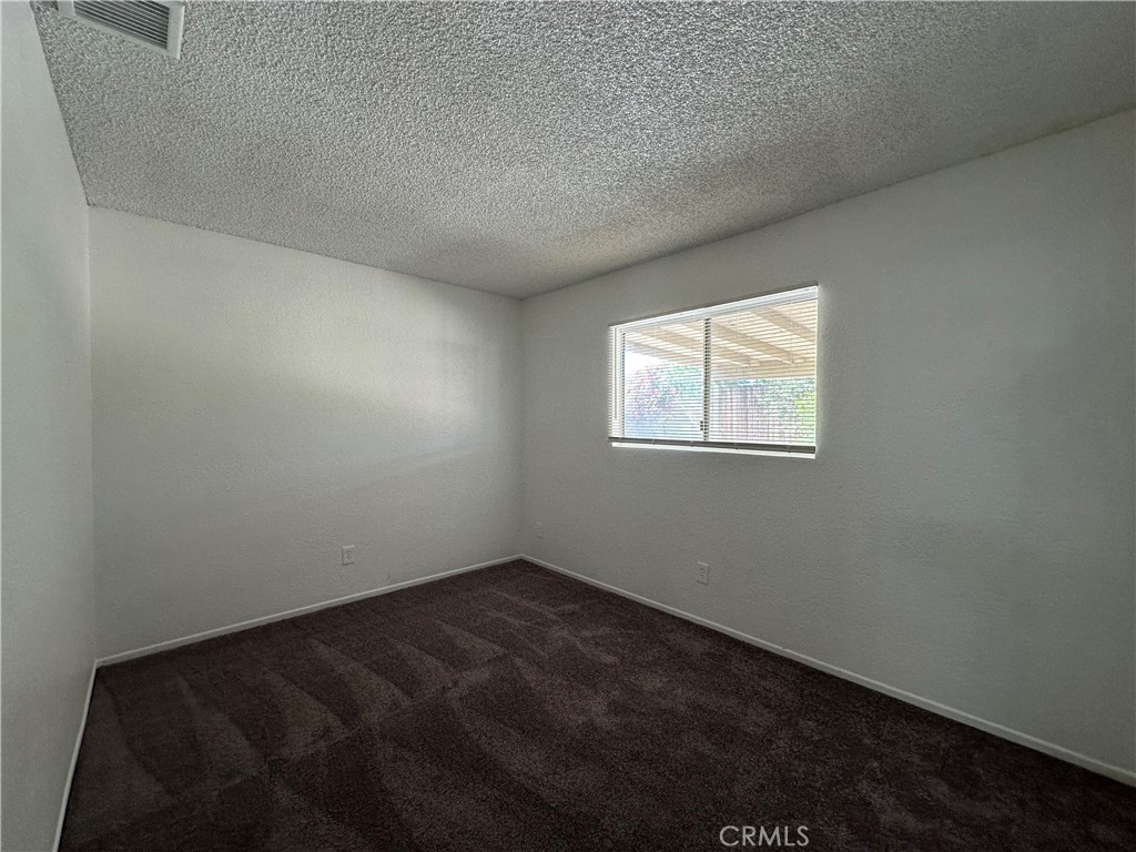14310 Agave