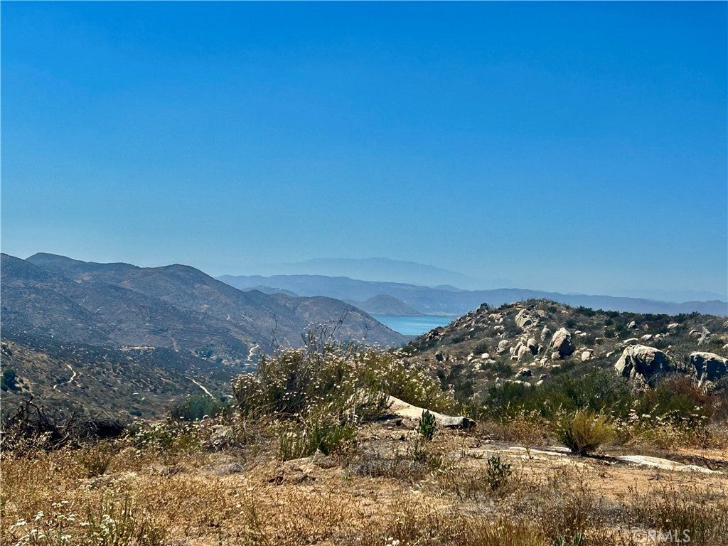 33445 Chameleon Road