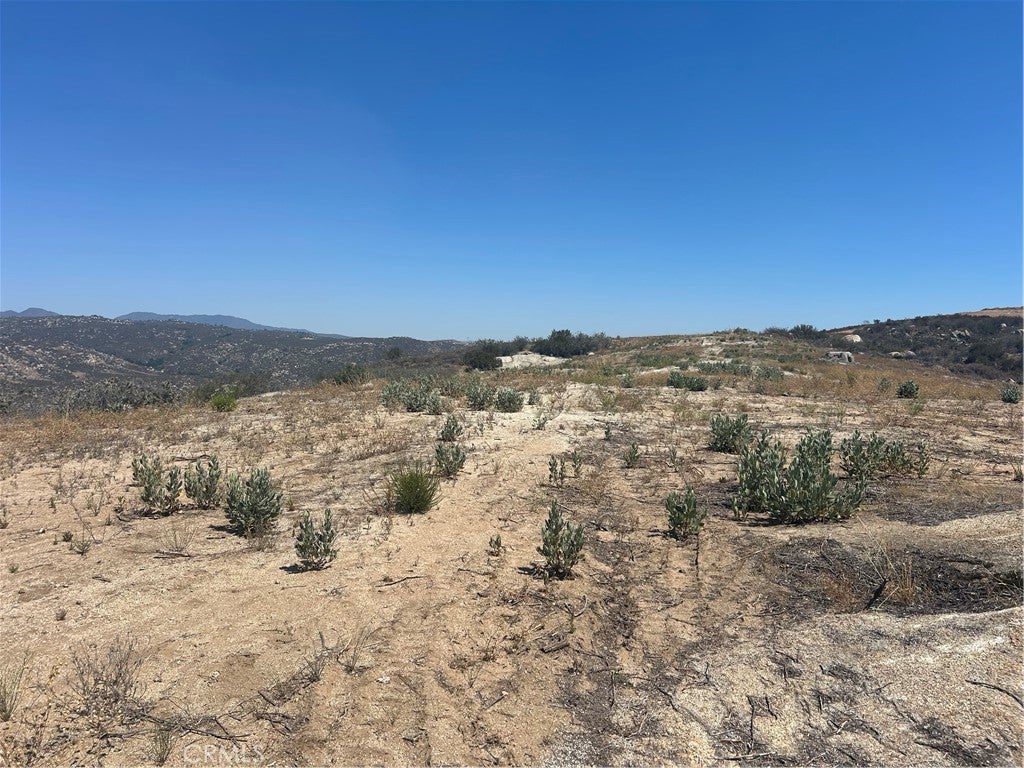 33445 Chameleon Road