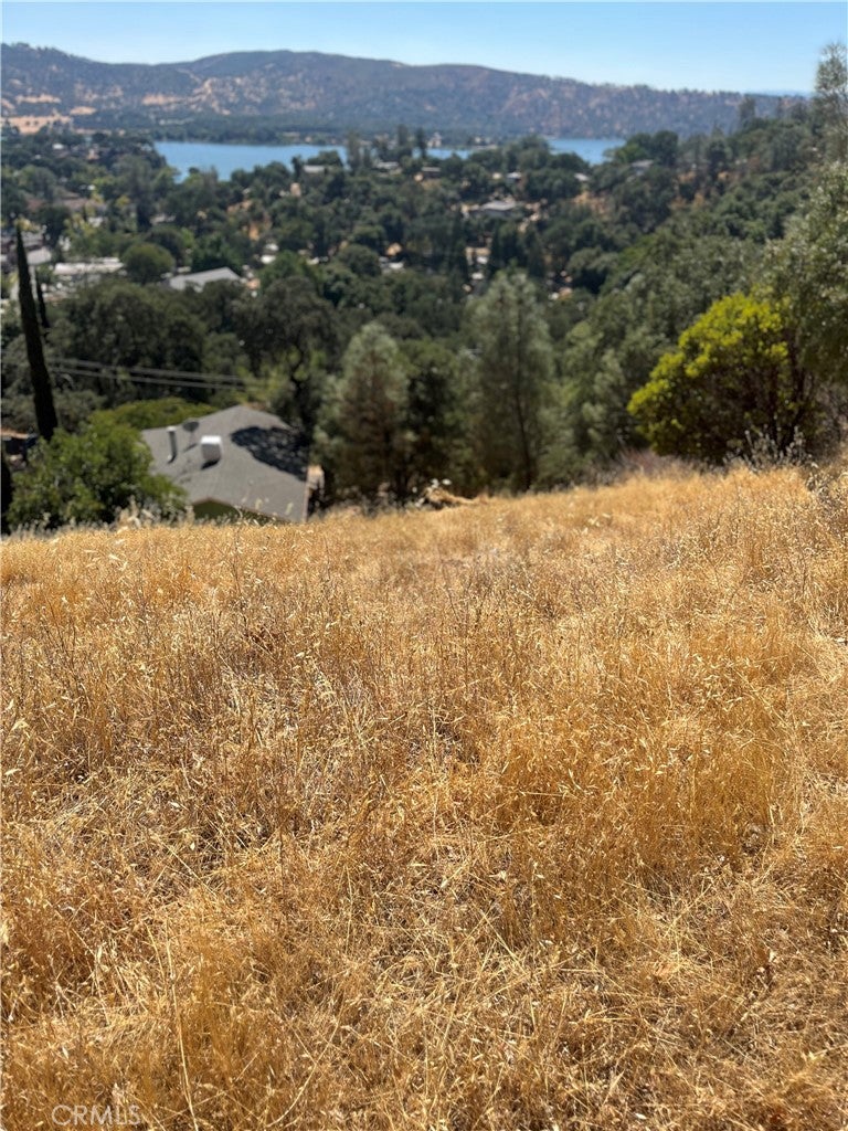 12415 Mountain View Drive