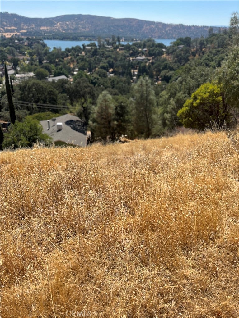12415 Mountain View Drive