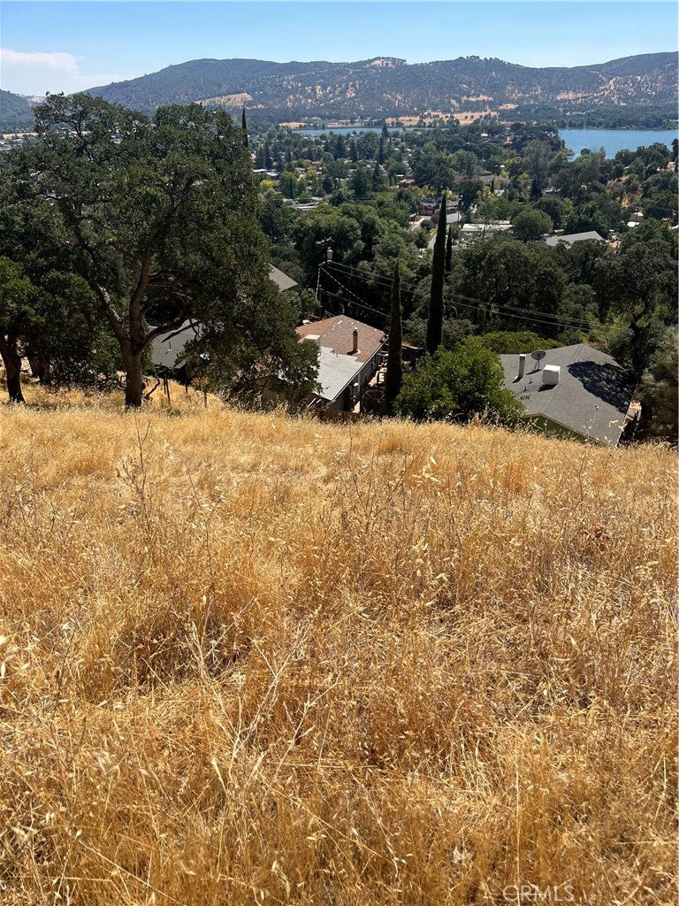 12415 Mountain View Drive