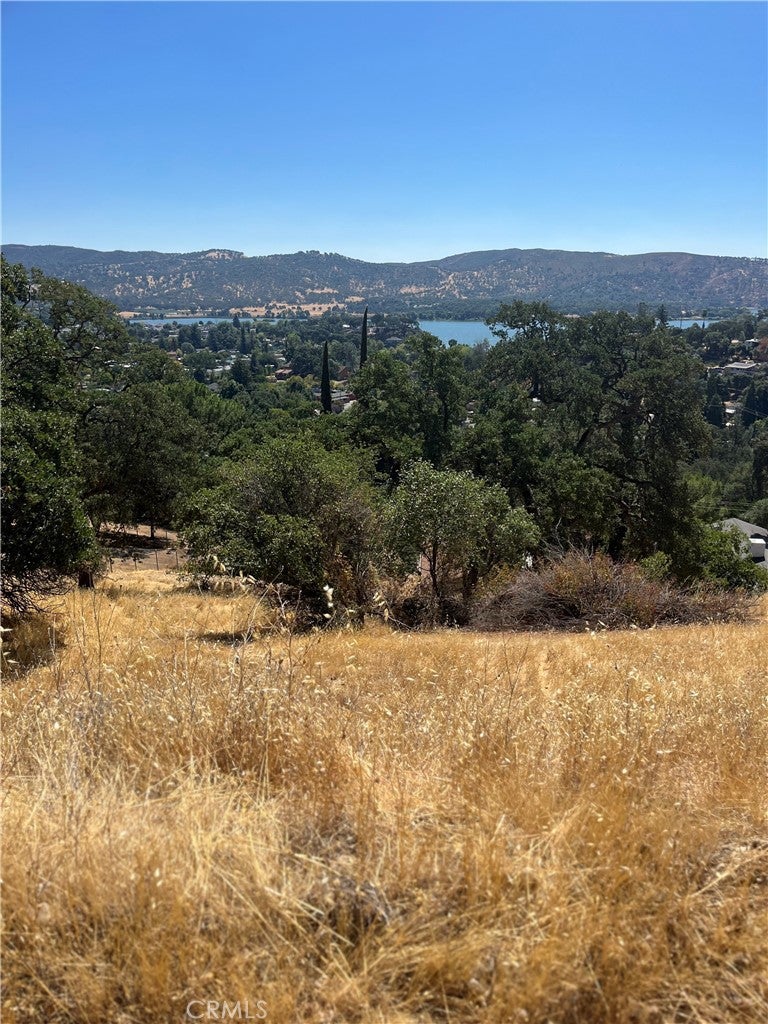 12415 Mountain View Drive