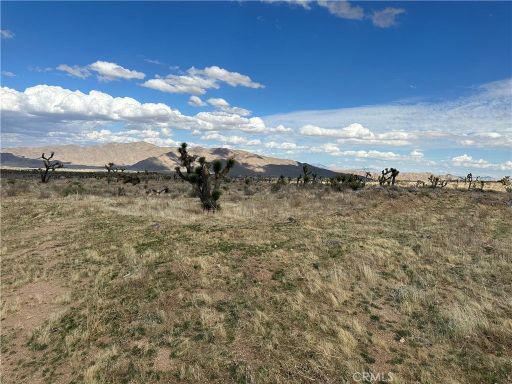 0 Horizon
