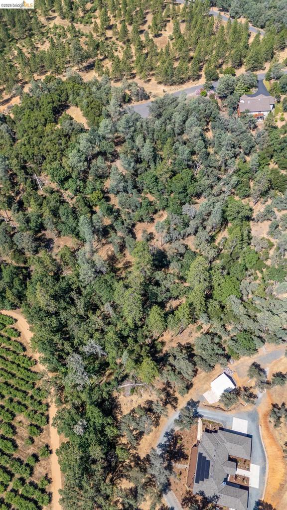 14464 Lorraine Lane