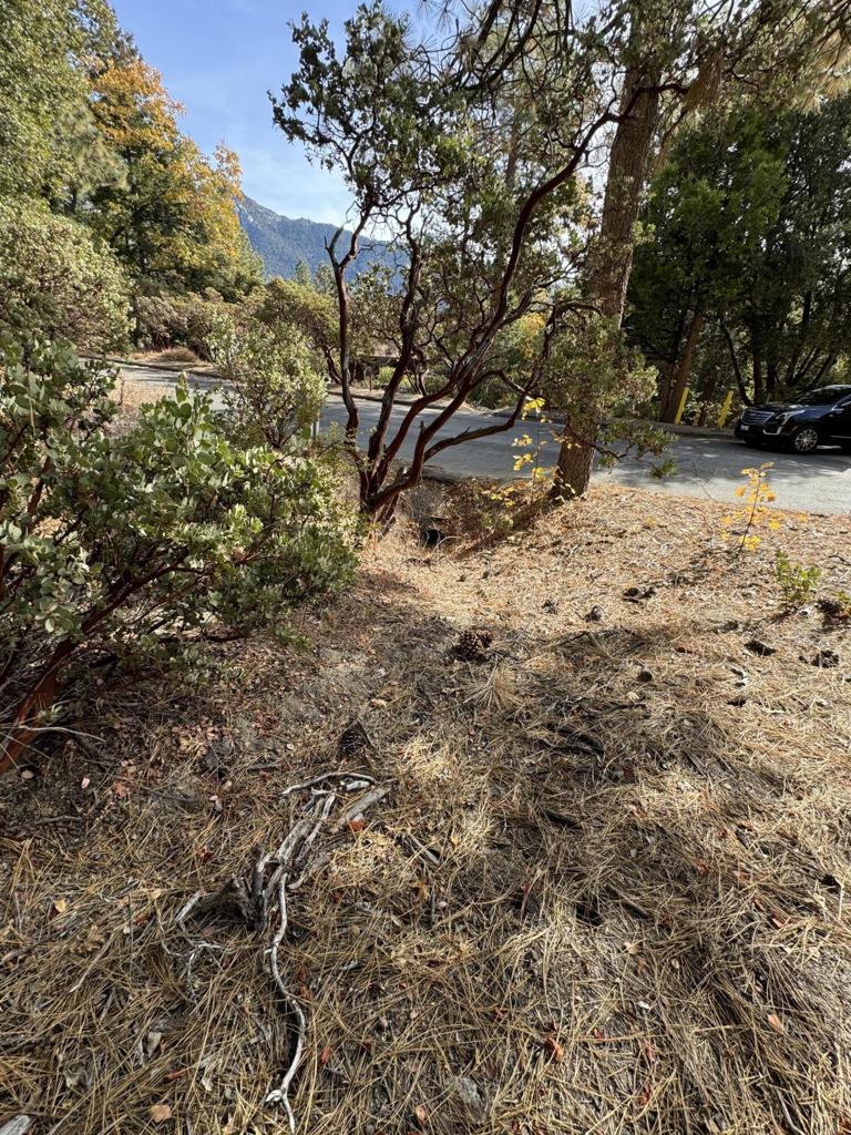 Buyers check out this opportunity to own an affordable mountain lot located in Cedar Glen. Build a dream home for your mountain retreat in the beautiful town of Idyllwild. Located close to the Nature Center with ample hiking trails close by. Giant boulders, Beautiful oak and manzanitas create a unique landscape for your future mountain home. This is a great investment opportunity to own something truly unique in Idyllwild.