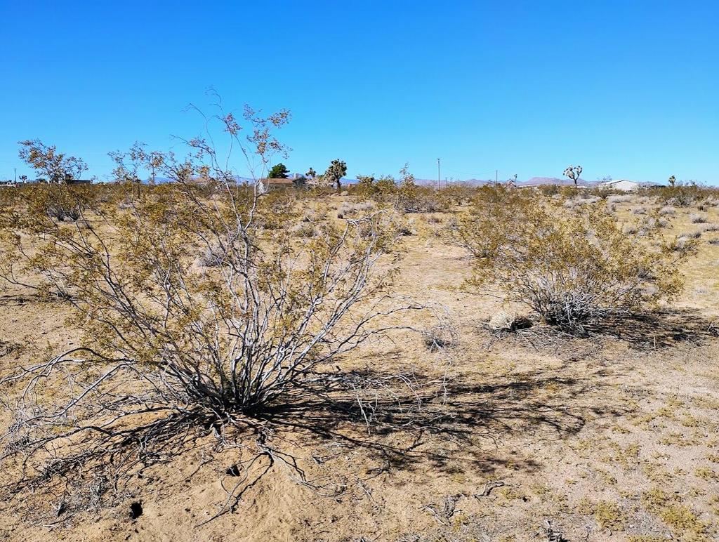 Not Applicable-1 - Land