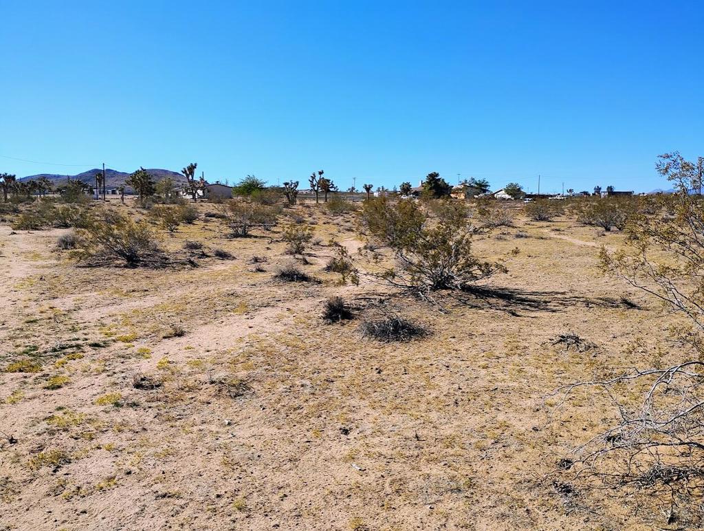 Not Applicable-1 - Land