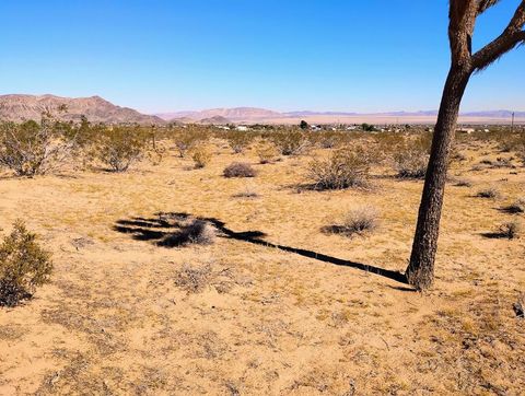 Photo of 565 Inez Avenue, Landers, CA 92285 (MLS # 219138097DA)