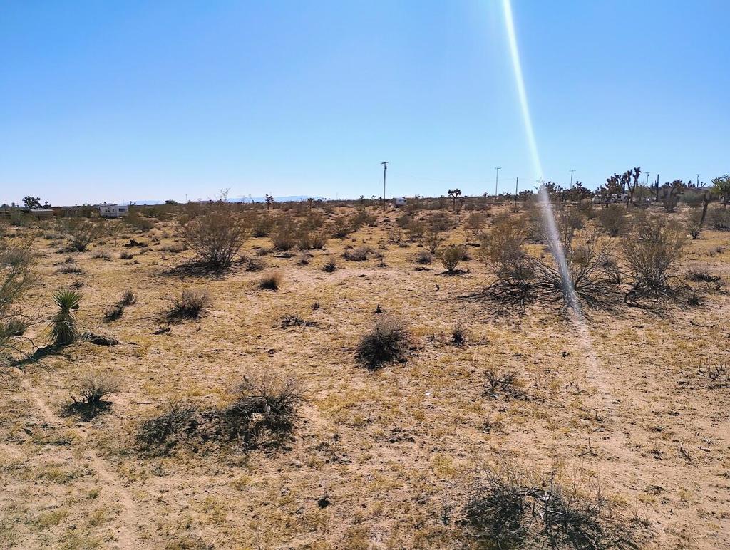 Not Applicable-1 - Land