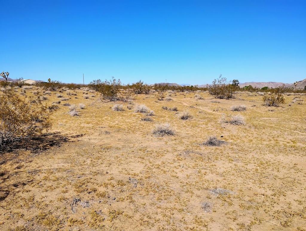 Not Applicable-1 - Land