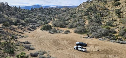 8243 Simson Rd Pinon Hills CA 92372