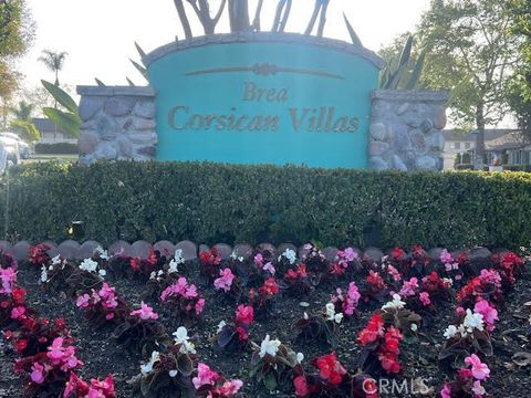 520 Breezewood Court Brea CA 92821