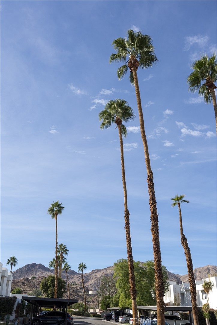 Mountainback (32327) - Residential