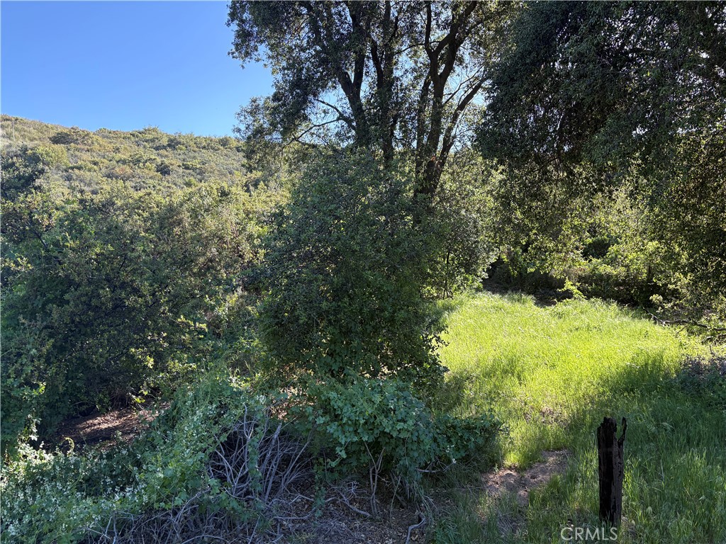 Solera (SLRA) - Land