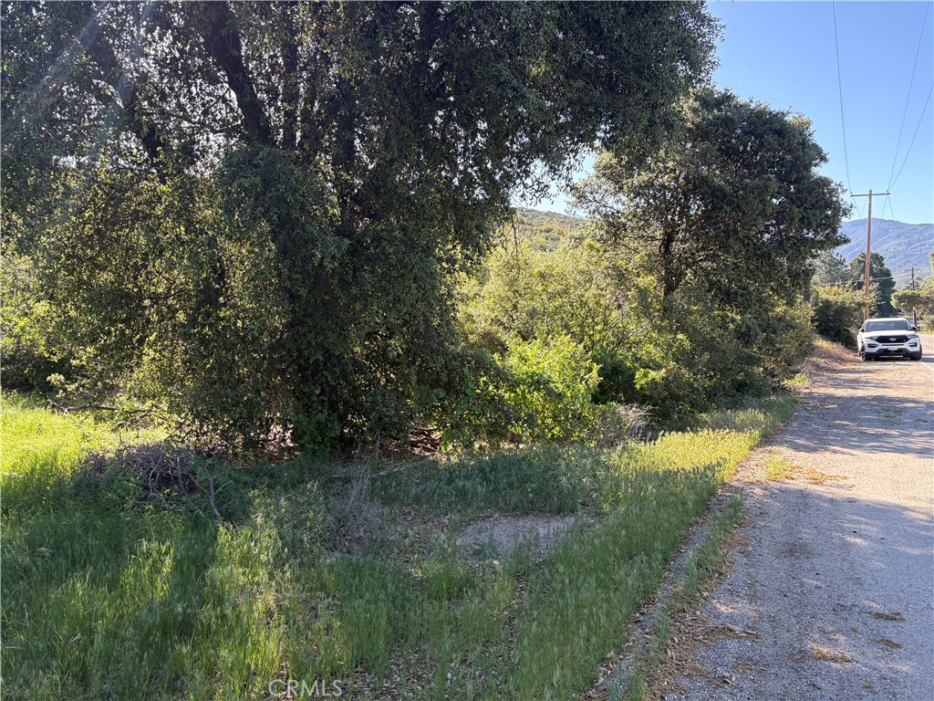 Solera (SLRA) - Land