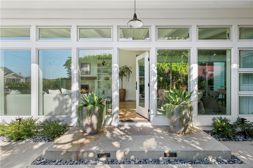 706 Poinsettia