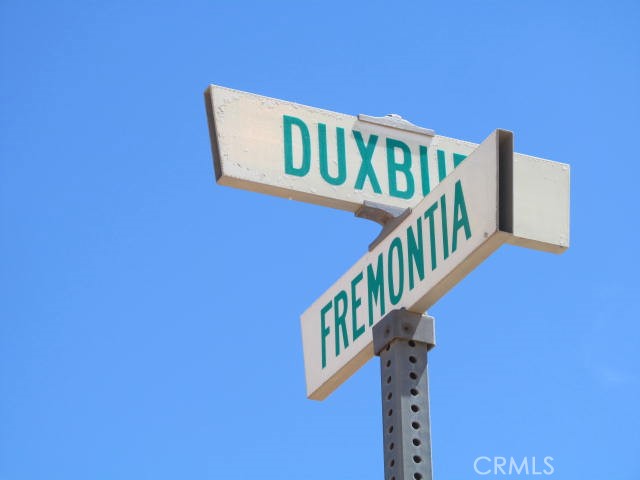 5955 Fremontia