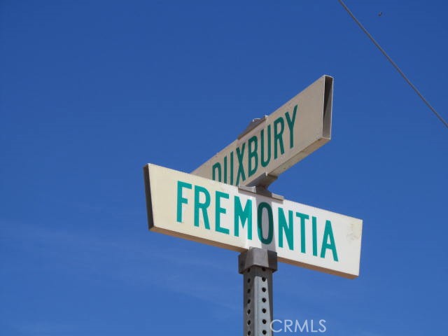 5955 Fremontia