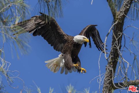 Photo of 41924 Patrick Avenue, Coarsegold, CA 93614 (MLS # 25599273)