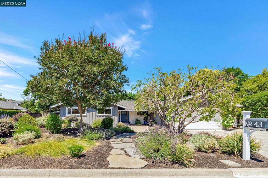 Move-in ready single-story home ideally located in a cul-de-sac, offering a rare opportunity and exceptional value in one of Moraga’s most desirable neighborhoods. Cozy, clean, and filled with positive energy. This well-maintained home features 4 bedrooms and 2 full baths, with a warm and inviting feel throughout. The kitchen includes a charming breakfast nook that connects to a formal dining room, perfect for everyday living and entertaining. A gas fireplace adds warmth to the spacious family room. Dual-paned windows and patio doors, along with updated interior doors, add to the comfort and efficiency. The yard showcases drought-tolerant landscaping with a drip system in front, and in back, a raised deck ideal for entertaining or unwinding at the end of the day. A lovely mix of rose bushes, a spacious lawn, and a private vegetable garden provide ample space for gardening and outdoor enjoyment. Located just minutes from top-rated Moraga schools, shopping, restaurants, and the Sunday farmer’s market.
