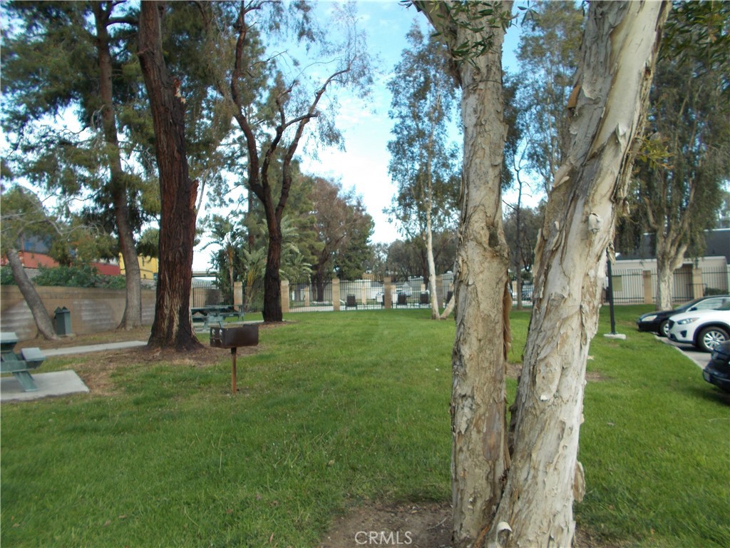 The village - Residential