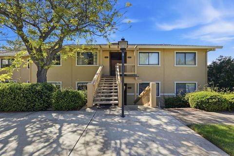 Photo of 5054 Cribari Vale, San Jose, CA 95135 (MLS # ML82040885)