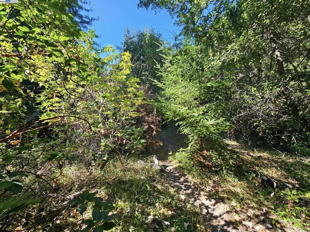 27 Old La Honda Rd