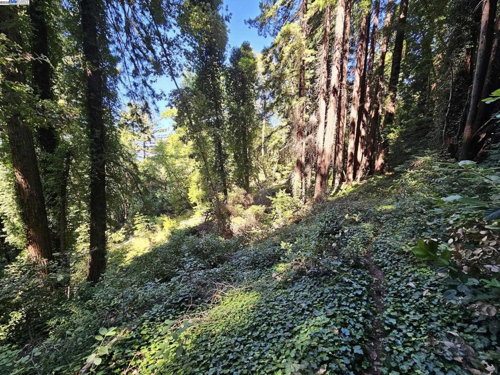 27 Old La Honda Rd